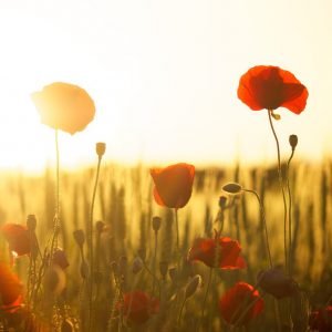Été
